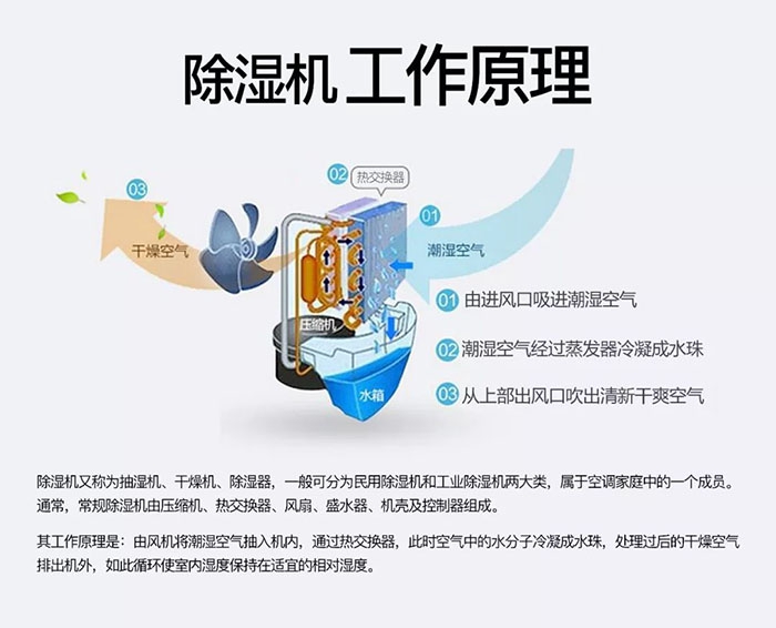 潮濕天氣狗最容易患上這種毛??！三個(gè)注意事項(xiàng)，鏟屎官一定要看看