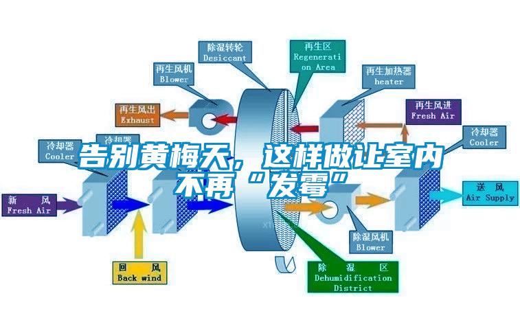 告別黃梅天，這樣做讓室內(nèi)不再“發(fā)霉”