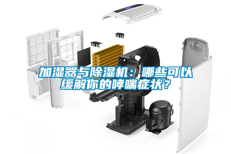 加濕器與除濕機(jī)：哪些可以緩解你的哮喘癥狀？