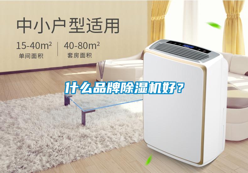 什么品牌除濕機(jī)好？