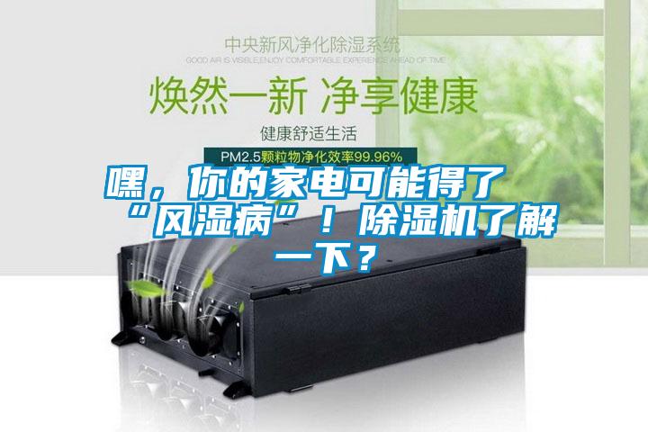 嘿，你的家電可能得了“風(fēng)濕病”！除濕機(jī)了解一下？