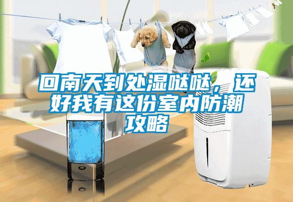 回南天到處濕噠噠，還好我有這份室內(nèi)防潮攻略