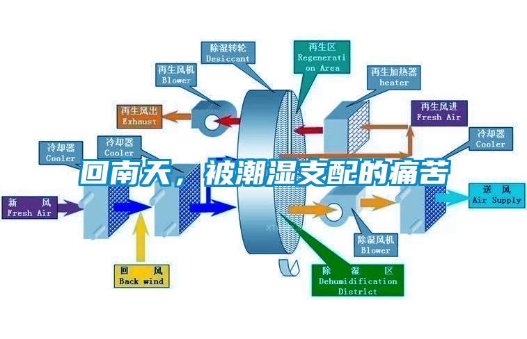 回南天，被潮濕支配的痛苦