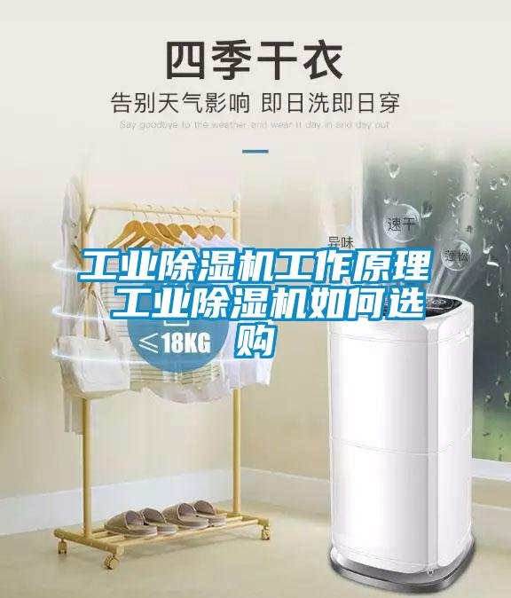 工業(yè)除濕機工作原理 工業(yè)除濕機如何選購