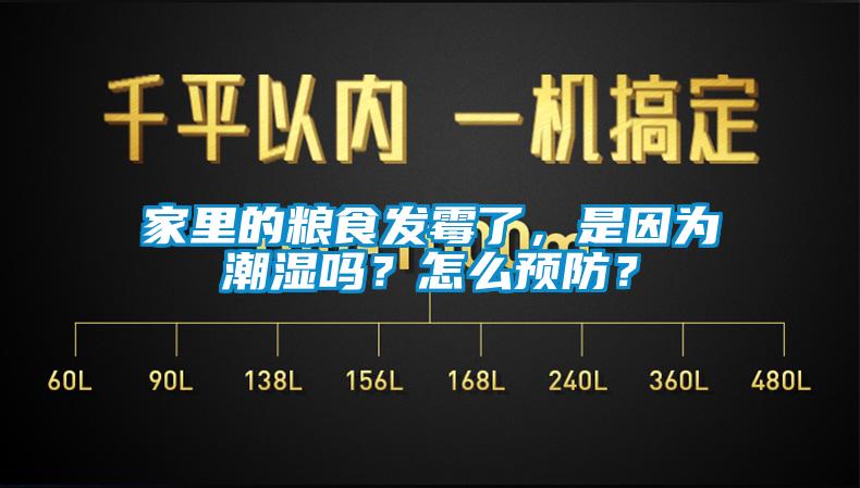 家里的糧食發(fā)霉了，是因?yàn)槌睗駟幔吭趺搭A(yù)防？