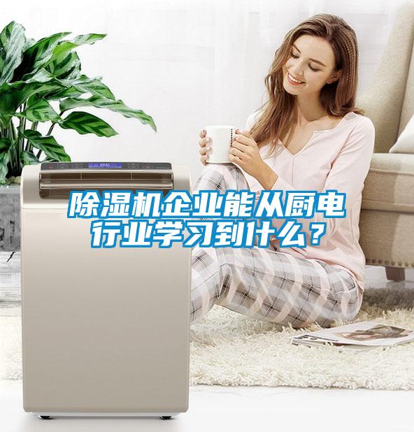 除濕機(jī)企業(yè)能從廚電行業(yè)學(xué)習(xí)到什么？