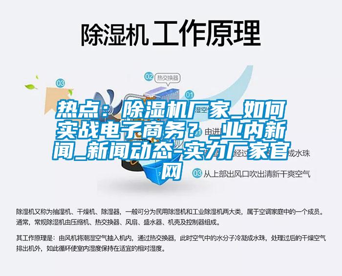 熱點：除濕機廠家_如何實戰(zhàn)電子商務？_業(yè)內(nèi)新聞_新聞動態(tài)-實力廠家官網(wǎng)