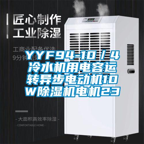 YYF94-10／4冷水機(jī)用電容運(yùn)轉(zhuǎn)異步電動(dòng)機(jī)10W除濕機(jī)電機(jī)23