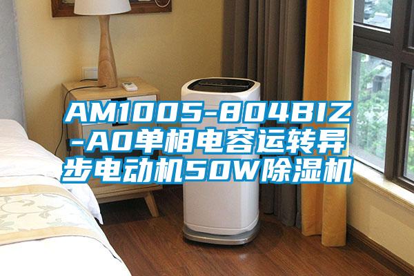 AM1005-804BIZ-A0單相電容運(yùn)轉(zhuǎn)異步電動(dòng)機(jī)50W除濕機(jī)