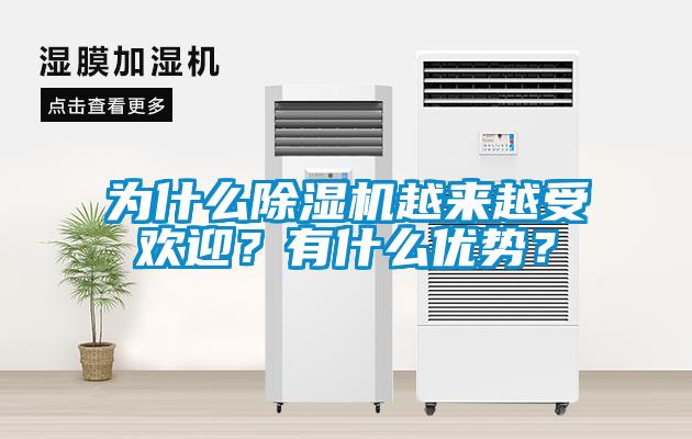 為什么除濕機(jī)越來(lái)越受歡迎？有什么優(yōu)勢(shì)？