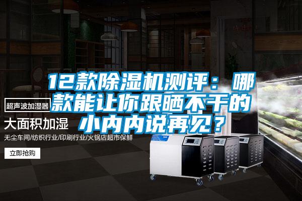 12款除濕機(jī)測評：哪款能讓你跟曬不干的小內(nèi)內(nèi)說再見？