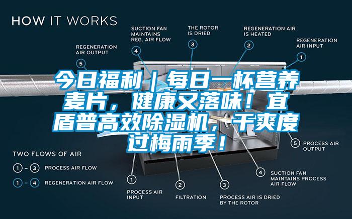 今日福利｜每日一杯營養(yǎng)麥片，健康又落味！宜盾普高效除濕機(jī)，干爽度過梅雨季！