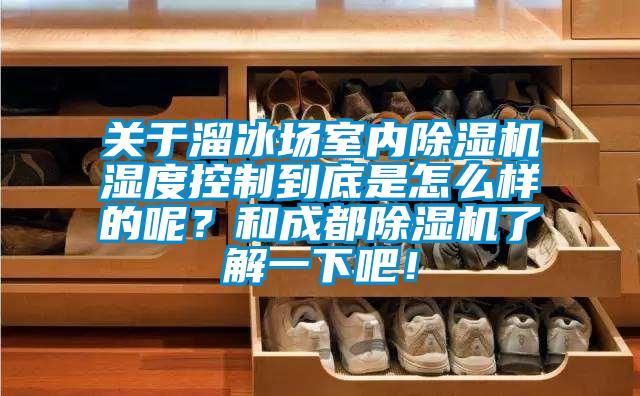 關于溜冰場室內(nèi)除濕機濕度控制到底是怎么樣的呢？和成都除濕機了解一下吧！