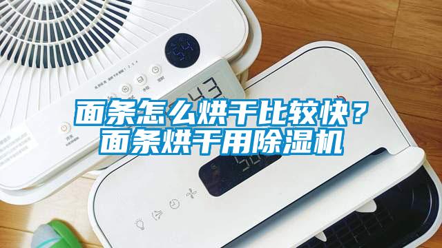 面條怎么烘干比較快？面條烘干用除濕機(jī)