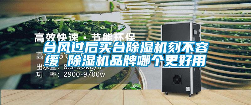 臺風(fēng)過后買臺除濕機刻不容緩 除濕機品牌哪個更好用