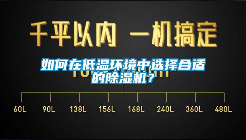 如何在低溫環(huán)境中選擇合適的除濕機(jī)？