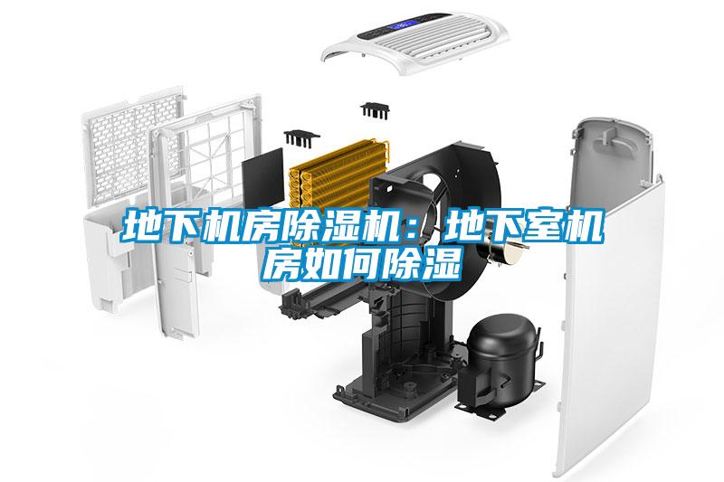 地下機(jī)房除濕機(jī)：地下室機(jī)房如何除濕