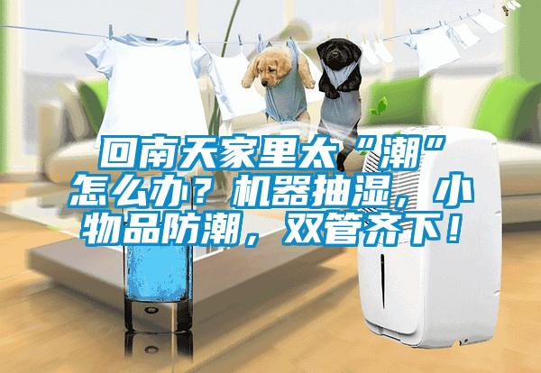 回南天家里太“潮”怎么辦？機(jī)器抽濕，小物品防潮，雙管齊下！