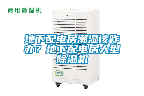 地下配電房潮濕該咋辦？地下配電房大型除濕機