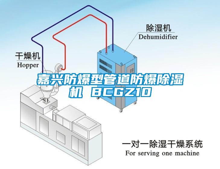 嘉興防爆型管道防爆除濕機(jī) BCGZ10