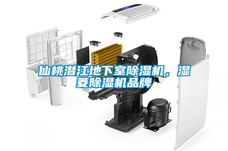 仙桃潛江地下室除濕機(jī)，濕菱除濕機(jī)品牌