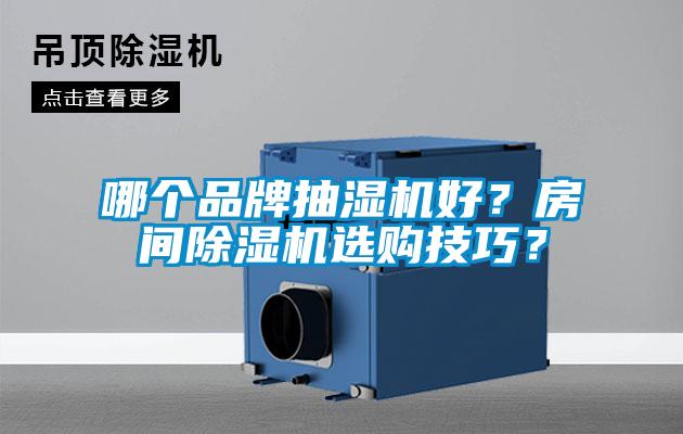 哪個(gè)品牌抽濕機(jī)好？房間除濕機(jī)選購(gòu)技巧？