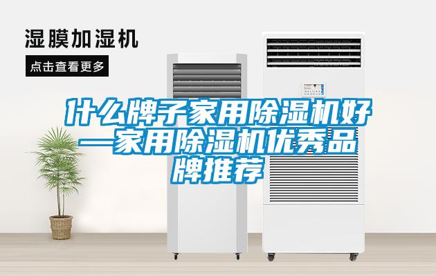 什么牌子家用除濕機(jī)好—家用除濕機(jī)優(yōu)秀品牌推薦