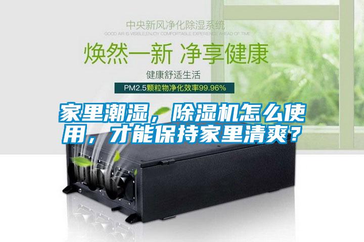 家里潮濕，除濕機(jī)怎么使用，才能保持家里清爽？