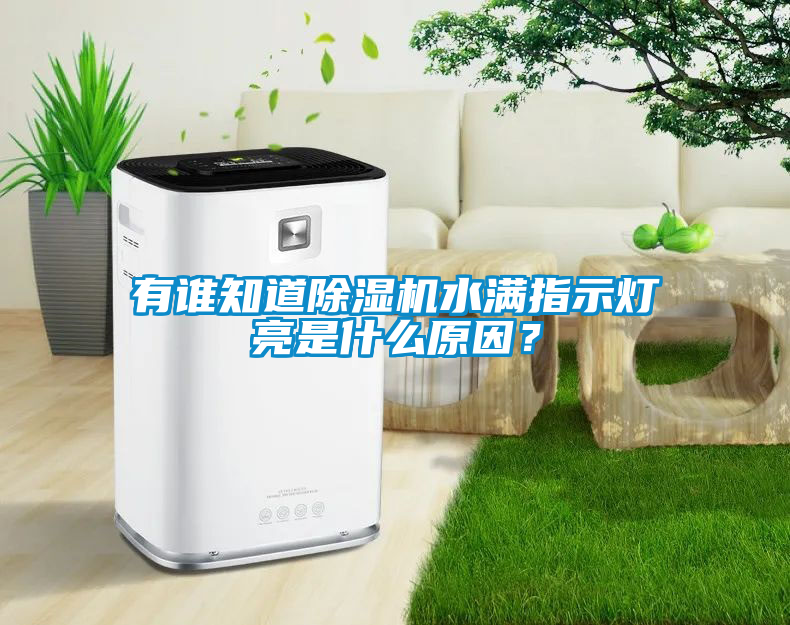 有誰知道除濕機水滿指示燈亮是什么原因？