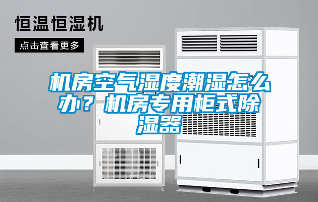 機房空氣濕度潮濕怎么辦？機房專用柜式除濕器