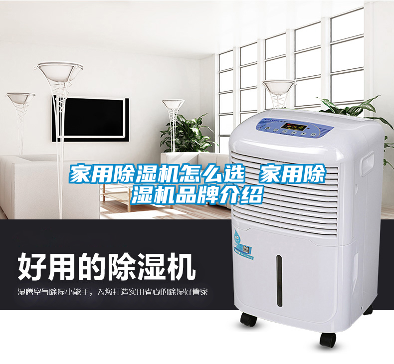 家用除濕機(jī)怎么選 家用除濕機(jī)品牌介紹