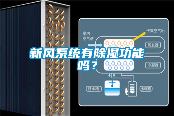 新風(fēng)系統(tǒng)有除濕功能嗎？
