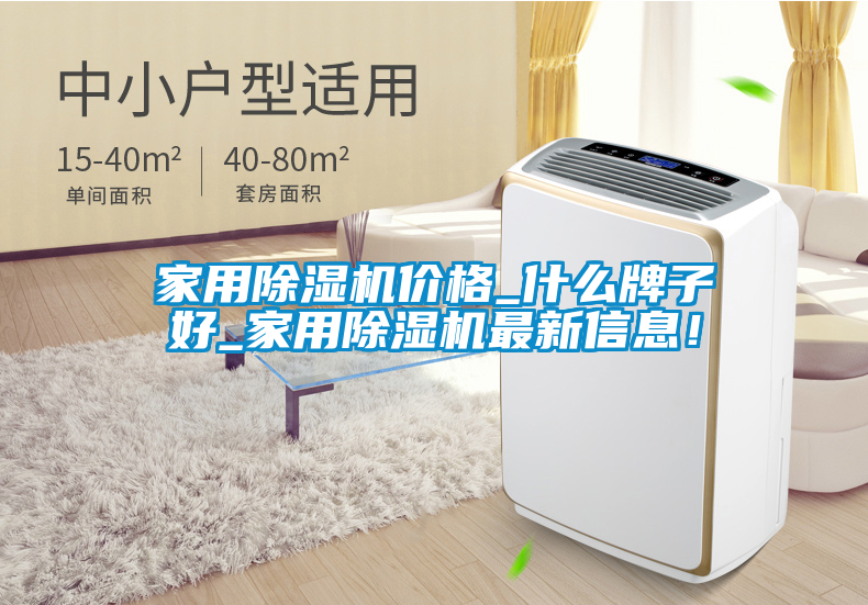 家用除濕機(jī)價格_什么牌子好_家用除濕機(jī)最新信息！