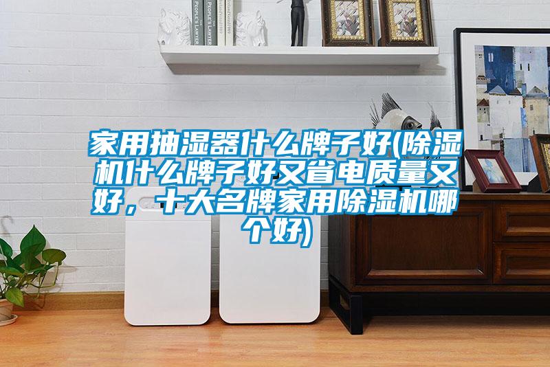 家用抽濕器什么牌子好(除濕機(jī)什么牌子好又省電質(zhì)量又好，十大名牌家用除濕機(jī)哪個(gè)好)