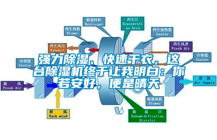 強力除濕、快速干衣，這臺除濕機(jī)終于讓我明白：你若安好，便是晴天