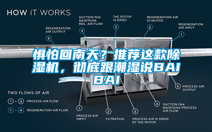 懼怕回南天？推薦這款除濕機(jī)，徹底跟潮濕說(shuō)BAIBAI