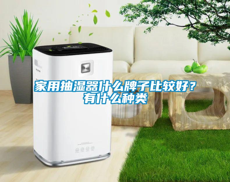 家用抽濕器什么牌子比較好？有什么種類