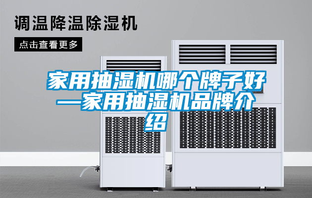 家用抽濕機哪個牌子好—家用抽濕機品牌介紹