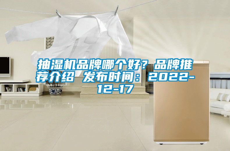 抽濕機品牌哪個好？品牌推薦介紹 發(fā)布時間：2022-12-17