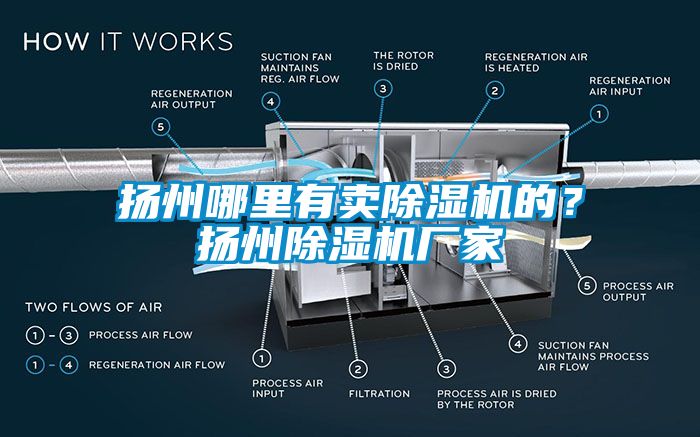 揚州哪里有賣除濕機的？揚州除濕機廠家