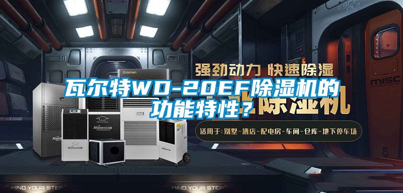 瓦爾特WD-20EF除濕機(jī)的功能特性？