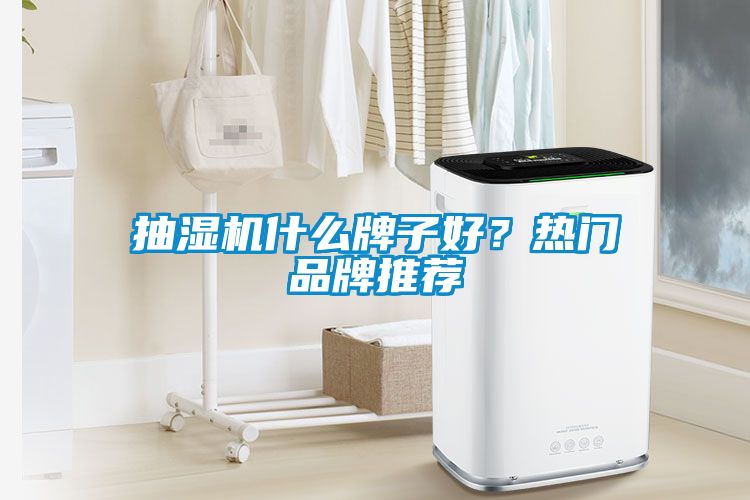 抽濕機(jī)什么牌子好？熱門(mén)品牌推薦