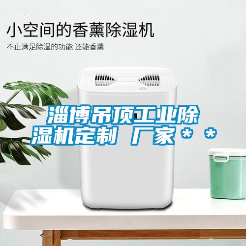 淄博吊頂工業(yè)除濕機(jī)定制 廠(chǎng)家＊＊