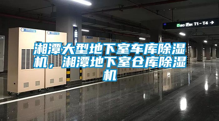 湘潭大型地下室車庫除濕機，湘潭地下室倉庫除濕機