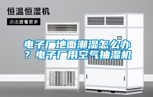 電子廠地面潮濕怎么辦？電子廠用空氣抽濕機(jī)