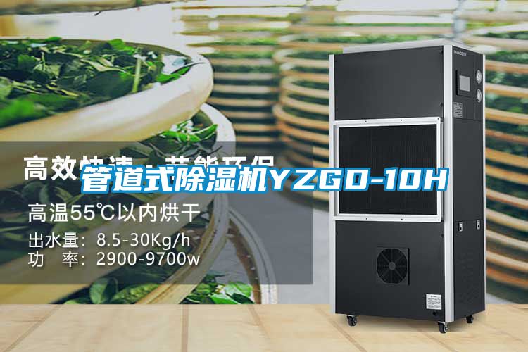 管道式除濕機YZGD-10H