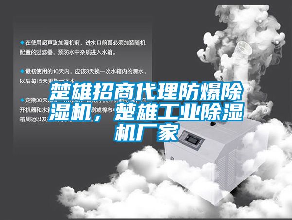 楚雄招商代理防爆除濕機，楚雄工業(yè)除濕機廠家