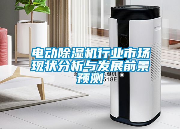 電動除濕機行業(yè)市場現狀分析與發(fā)展前景預測