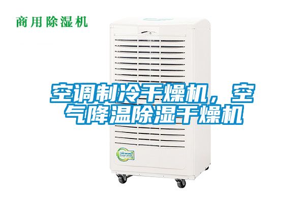 空調制冷干燥機，空氣降溫除濕干燥機