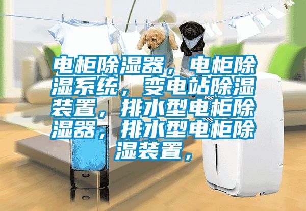 電柜除濕器，電柜除濕系統(tǒng)，變電站除濕裝置，排水型電柜除濕器，排水型電柜除濕裝置，